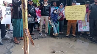 Kritisi Kinerja Pemkab Bogor, Warga Tanam Pohon Pisang dan Tebar Ikan Lele di Jalan Rusak