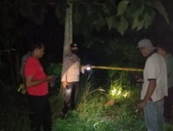 Gempar, Temukan Kerangka Manusia Pencari Rumput Segera Lapor Polisi